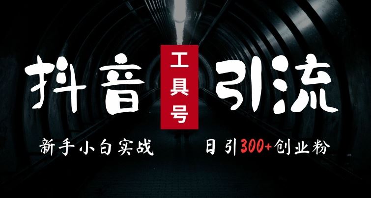 2024最新抖音工具号引流玩法，高效日引300+创业粉，当天变现5k，小白也可成为实战高手-致富学堂
