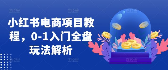 小红书电商项目教程，0-1入门全盘玩法解析-致富学堂