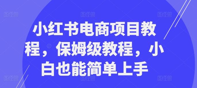 小红书电商项目教程，保姆级教程，小白也能简单上手-致富学堂