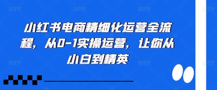 小红书电商精细化运营全流程，从0-1实操运营，让你从小白到精英-致富学堂