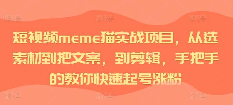短视频meme猫实战项目，从选素材到把文案，到剪辑，手把手的教你快速起号涨粉-致富学堂