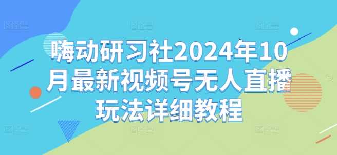 嗨动研习社2024年10月最新视频号无人直播玩法详细教程-致富学堂