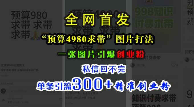 小红书“预算4980带我飞”图片打法，一张图片引爆创业粉，私信回不完，单条引流300+精准创业粉-致富学堂