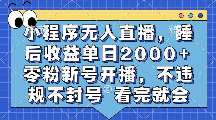 （13251期）小程序无人直播，睡后收益单日2000+ 零粉新号开播，不违规不封号 看完就会-致富学堂