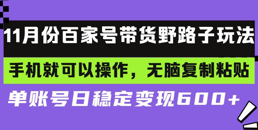 （13281期）百家号带货野路子玩法 手机就可以操作，无脑复制粘贴 单账号日稳定变现…-致富学堂