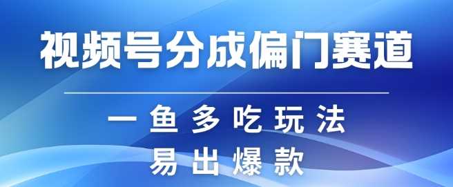 视频号创作者分成计划偏门类目，容易爆流，实拍内容简单易做【揭秘】-致富学堂
