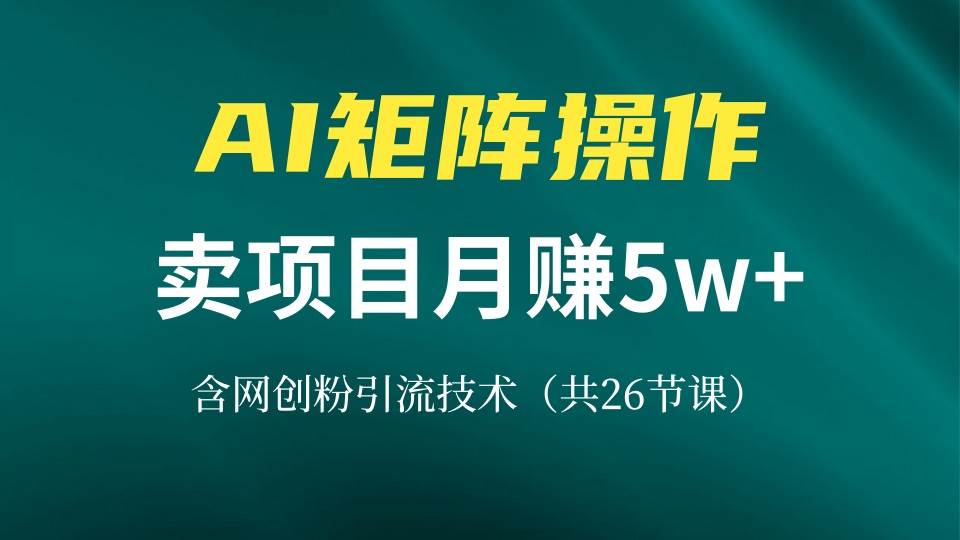 （13335期）网创IP打造课，借助AI卖项目月赚5万+，含引流技术（共26节课）-致富学堂
