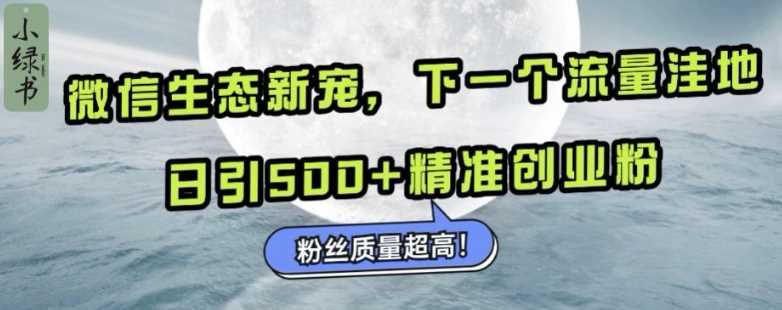 微信生态新宠小绿书：下一个流量洼地，日引500+精准创业粉，粉丝质量超高-致富学堂