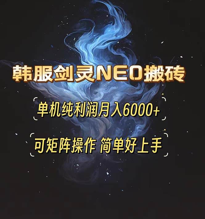 （13435期）韩服剑灵NEO搬砖攻略，单机纯利润月入6000+ 可矩阵操作，简单好上手。-致富学堂