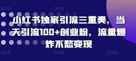 小红书独家引流三重奏，当天引流100+创业粉，流量爆炸不愁变现【揭秘】-致富学堂
