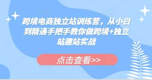 跨境电商独立站训练营，从小白到精通手把手教你做跨境+独立站建站实战-致富学堂