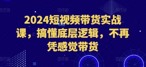 2024短视频带货实战课，搞懂底层逻辑，不再凭感觉带货-致富学堂