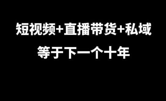 短视频+直播带货+私域等于下一个十年，大佬7年实战经验总结-致富学堂