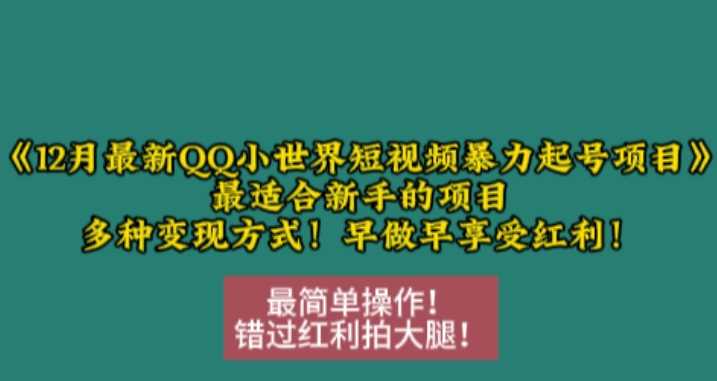 12月最新QQ小世界短视频暴力起号项目，最适合新手的项目，多种变现方式-致富学堂