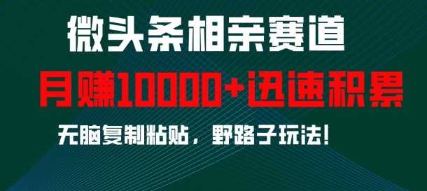 微头条相亲赛道，迅速积累，无脑复制粘贴，野路子玩法，月入1w-致富学堂