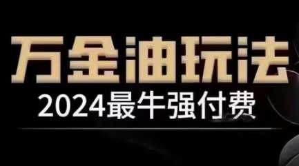 2024最牛强付费，万金油强付费玩法，干货满满，全程实操起飞（更新12月）-致富学堂