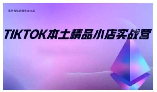 TikTok本土精品小店出海实战营，从入门到高阶，不止0-1!-致富学堂