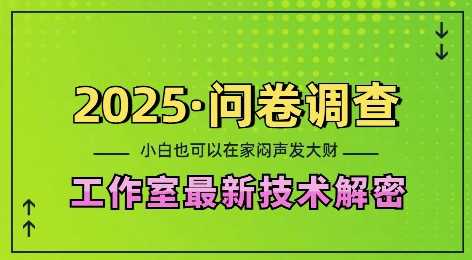 2025问卷调查最新工作室技术解密：一个人在家也可以闷声发大财，小白一天2张，可矩阵放大【揭秘】-致富学堂