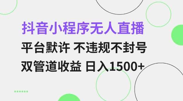 抖音小程序无人直播 平台默许 不违规不封号 双管道收益 日入多张 小白也能轻松操作【仅揭秘】-致富学堂