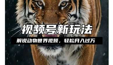 利用动物世界解说视频，赚分成计划收益，轻松月入过W，操作简单【揭秘】-致富学堂