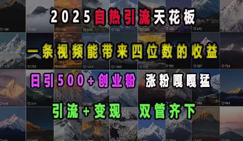 2025自热引流天花板，一条视频能带来四位数的收益，引流+变现双管齐下，日引500+创业粉，涨粉嘎嘎猛-致富学堂