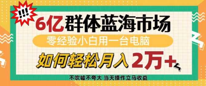 6亿群体蓝海市场，零经验小白用一台电脑，如何轻松月入过w【揭秘】-致富学堂