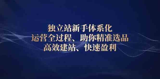 独立站新手体系化 运营全过程，助你精准选品、高效建站、快速盈利-致富学堂