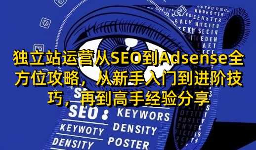 独立站运营从SEO到Adsense全方位攻略，从新手入门到进阶技巧，再到高手经验分享-致富学堂