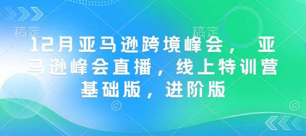 12月亚马逊跨境峰会， 亚马逊峰会直播，线上特训营基础版，进阶版-致富学堂