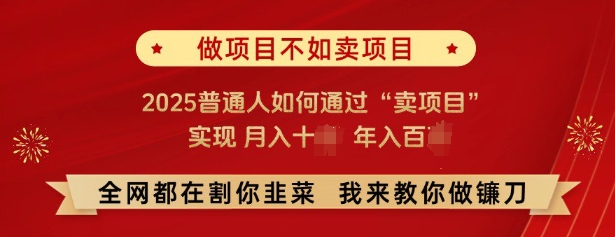 必看，做项目不如卖项目，2025普通人如何通过“卖项目”实现月入十个，年入百个-致富学堂