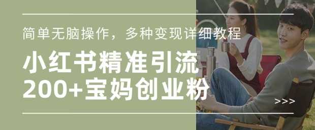 小红书混剪日引200+宝妈创业粉，简单无脑操作，多种变现详细教程-致富学堂