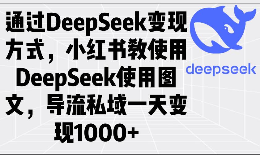 （14179期）通过DeepSeek变现方式，小红书教使用DeepSeek图文，导流私域一天变现1000+-致富学堂