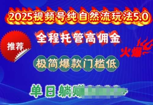 2025视频号纯自然流玩法5.0，全程托管高佣金，极简爆款门槛低，单日收益多张【揭秘】-致富学堂
