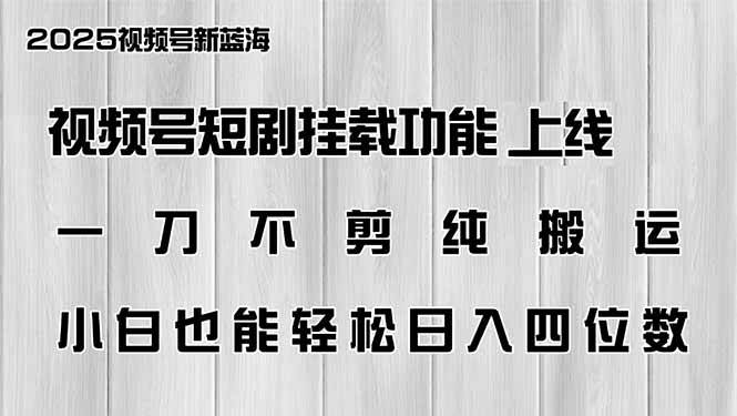 （14310期）视频号短剧挂载功能上线，一刀不剪纯搬运，小白也能轻松日入四位数-致富学堂