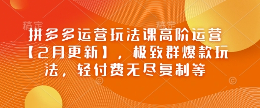 拼多多运营玩法课高阶运营【2月更新】，极致群爆款玩法，轻付费无尽复制等-致富学堂