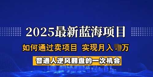 2025蓝海项目，普通人如何通过卖项目，实现月入过W，全过程【揭秘】-致富学堂