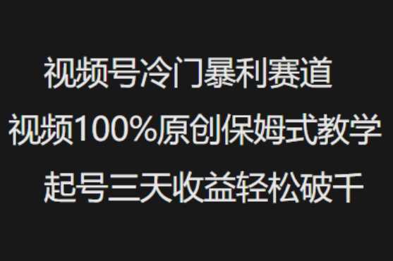 视频号冷门暴利赛道视频100%原创保姆式教学起号三天收益轻松破千-致富学堂