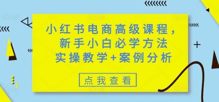 小红书电商高级课程，新手小白必学方法，实操教学+案例分析-致富学堂
