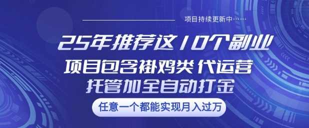 25年推荐这10个副业项目包含褂鸡类、代运营托管类、全自动打金类【揭秘】-致富学堂