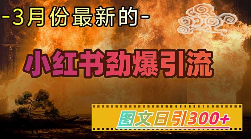 小红书超劲爆引流手段，图文日引300+轻松变现1W-钰霖恒创