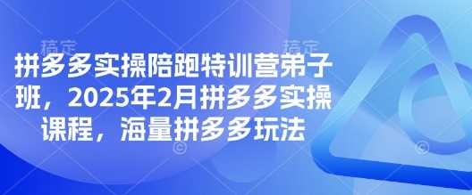 拼多多实操陪跑特训营弟子班，2025年2月拼多多实操课程，海量拼多多玩法-钰霖恒创