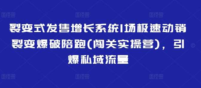裂变式发售增长系统1场极速动销裂变爆破陪跑(闯关实操营)，引爆私域流量-致富学堂