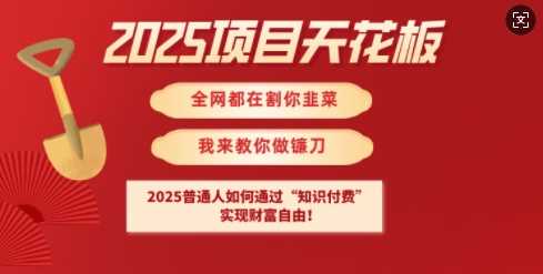 2025项目天花板普通人如何通过知识付费，实现财F自由【揭秘】-致富学堂