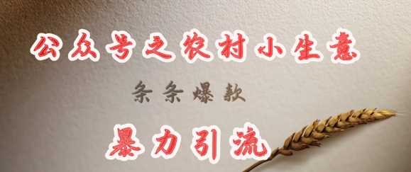 deepseek写农村小项目，条条爆款，暴力引流-致富学堂