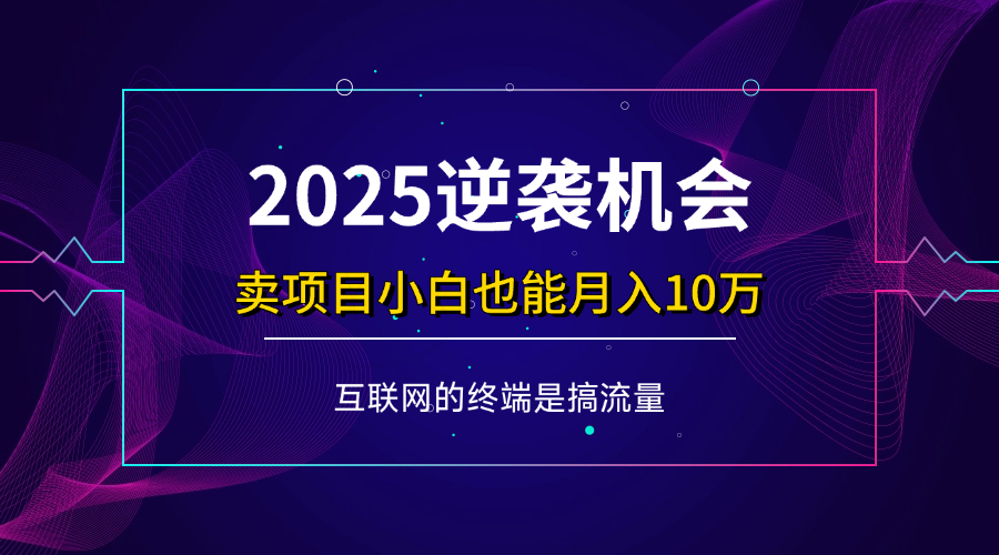 （14122期）项目标题：2025逆袭机会，卖项目小白也能轻松月入10万+-致富学堂