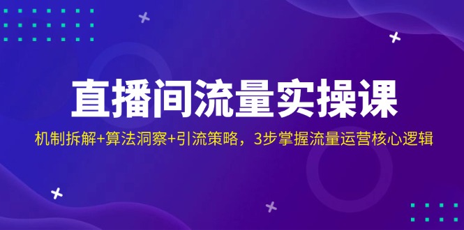 （14122期）直播间流量实操课：机制拆解+算法洞察+引流策略，3步掌握流量运营核心逻辑-致富学堂