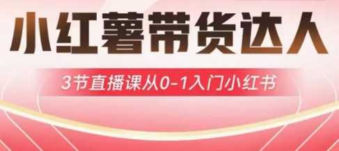 小红薯达人带货启航计划，3节直播课从0-1入门小红书-致富学堂