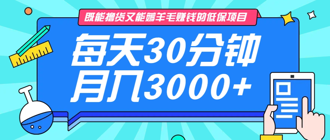 既能撸货又能赚钱的长期低保项目，每天30分钟，多号百分百稳定月入3000+！-致富学堂