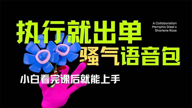 （14170期）爆火全网的开车导航骚气语音包,只要执行就出单，小白看完课程就能实操…-致富学堂