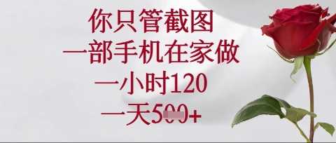 你只管截图，一部手机在家操作，一小时120.一天5张【揭秘】-致富学堂